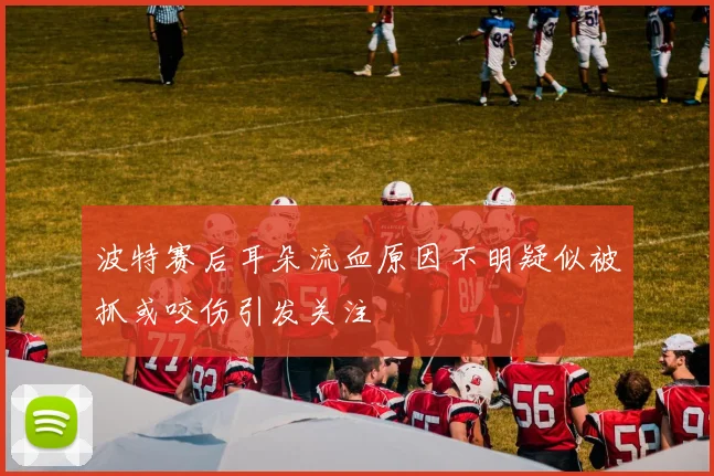 波特赛后耳朵流血原因不明疑似被抓或咬伤引发关注