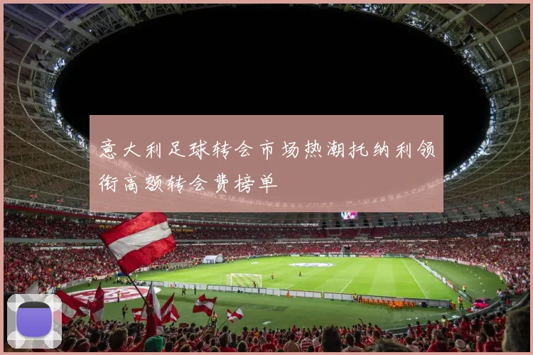 意大利足球转会市场热潮托纳利领衔高额转会费榜单